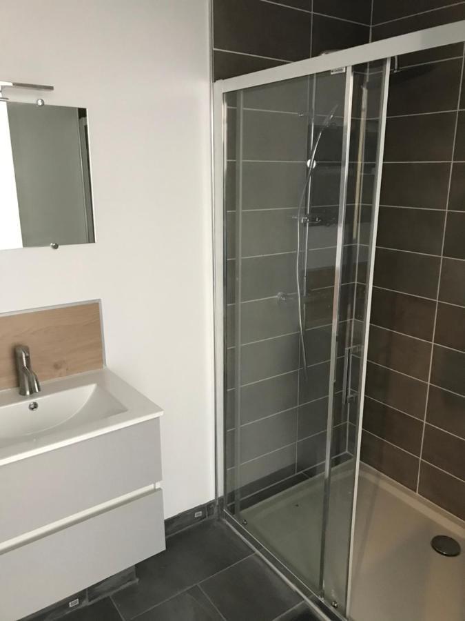 Appartement T2 Design hypercentre Castres Agout Extérieur photo